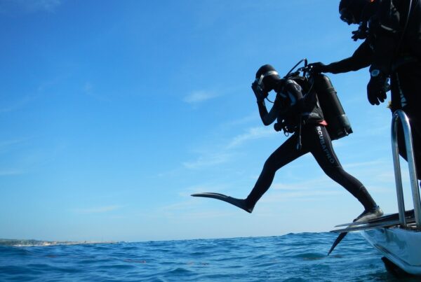 Typewriter Rodeo: Scuba diving in America