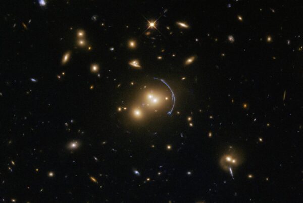 Typewriter Rodeo: Dark Matter