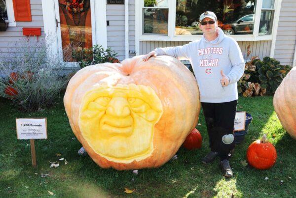 Good gourd! These giant pumpkins weigh as much as a car
