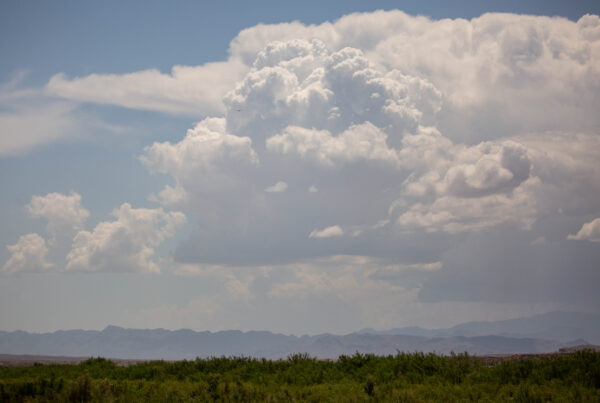 Activists hope repatriation of Indigenous remains in Big Bend region is just the beginning