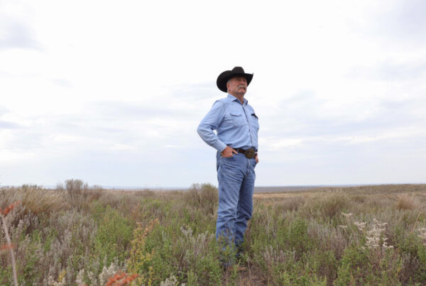 A native prairie bird lost federal protection. People are still trying to save it on private land