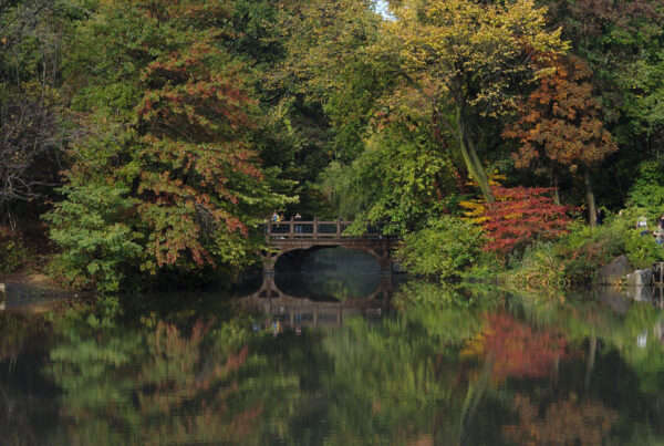 Colorful fall trees surrounding a picturesque stone bridge are reflected perfectly in a body of water.