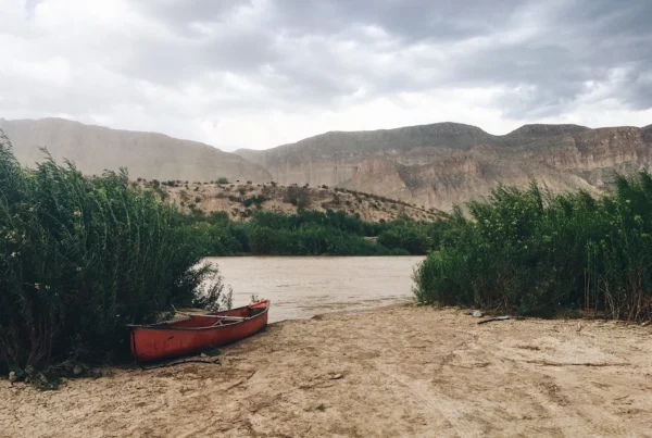 Trump administration removes some Big Bend area projects from ‘Smart Wall’ plan