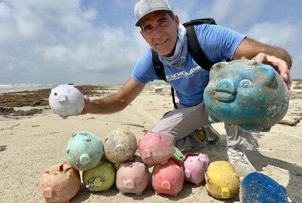 Colorful ‘sea piggies’ are mysteriously washing up on Texas beaches