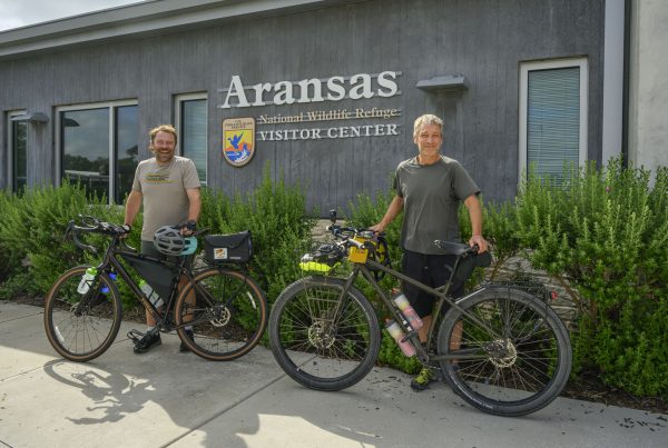 ‘A journey of discovery’: Duo biking from Texas Gulf Coast to Canada along whooping crane route