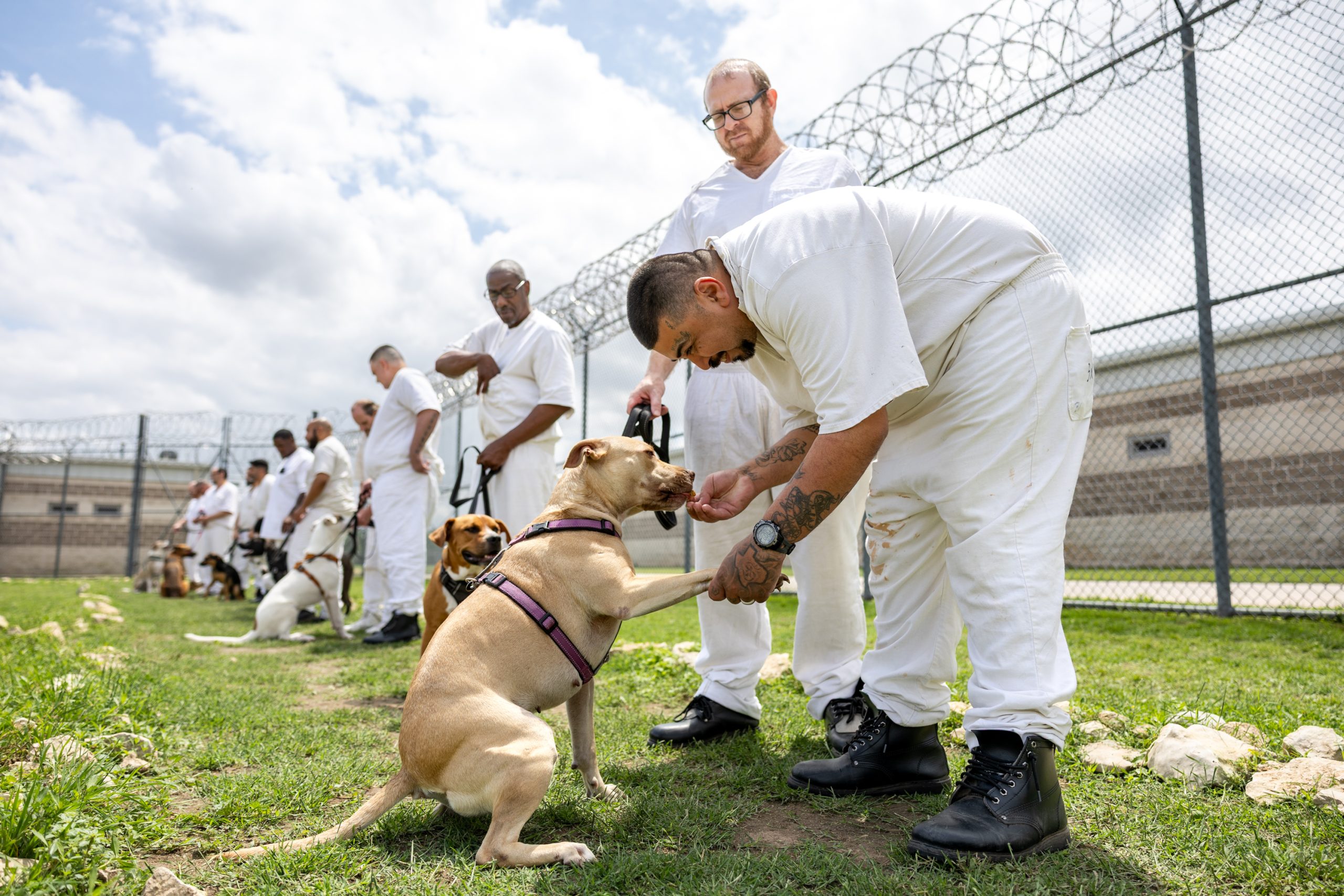 ‘All about second chances’: Incarcerated veterans in Texas train shelter dogs for a better life