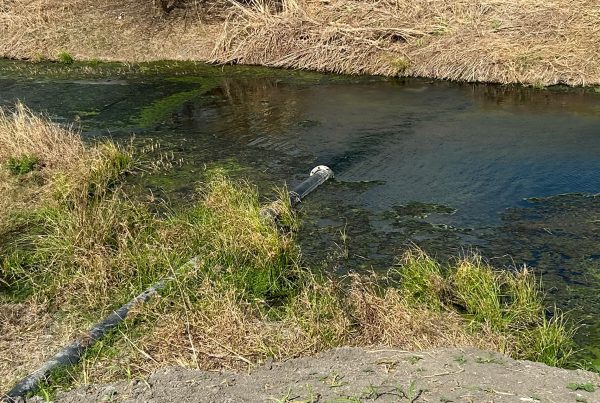 A drainage ditch and Tesla’s lithium refinery reveal Texas’ permissive permitting for industrial wastewaters