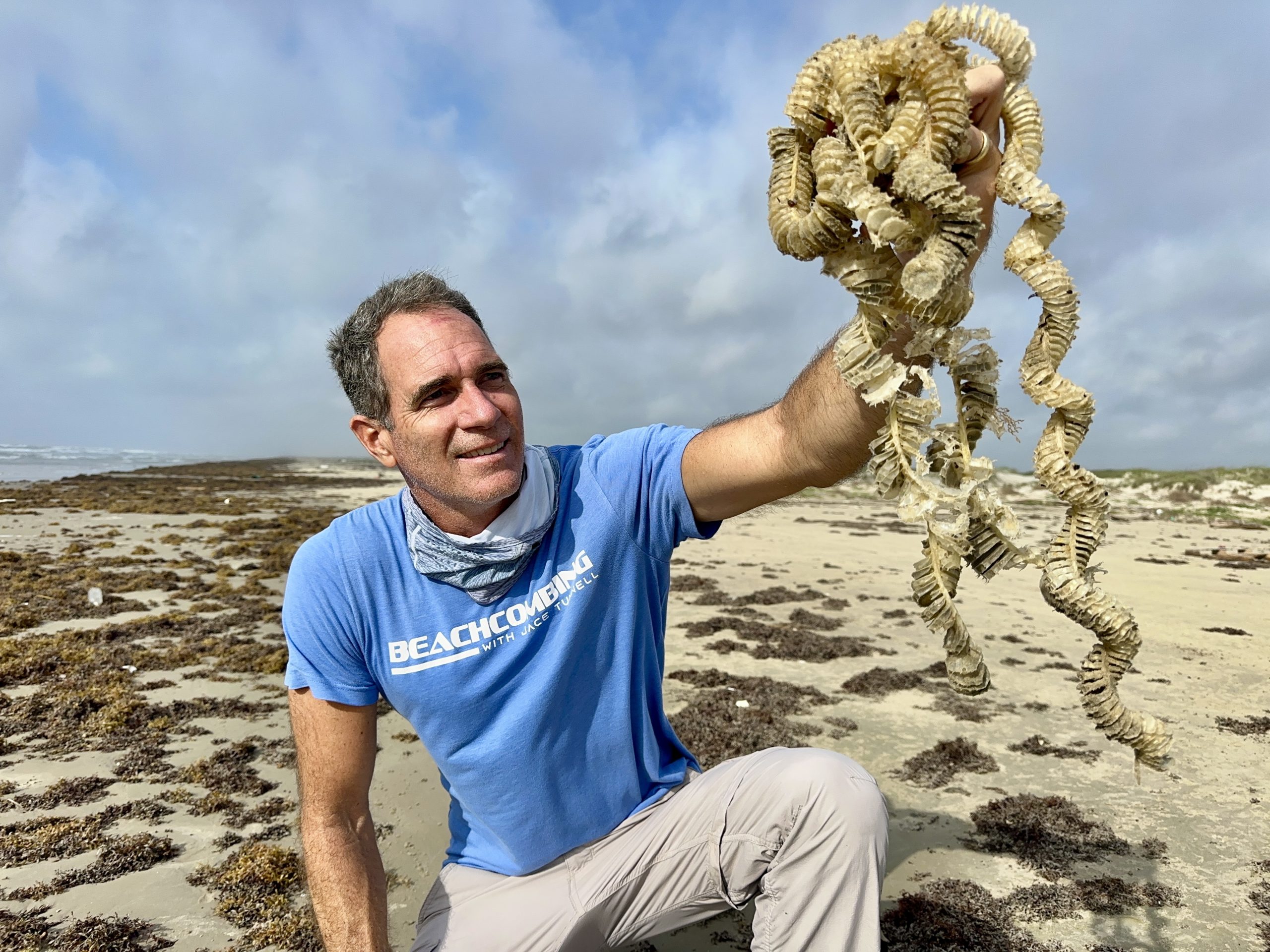 These snake-like strands actually house tiny snails that become Texas' official state shell