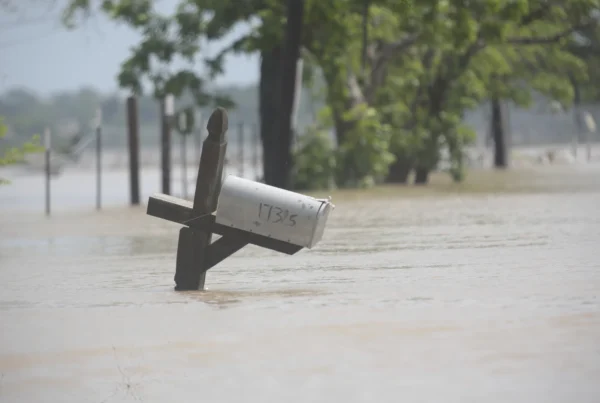 Abbott issues disaster declaration for 101 Texas counties