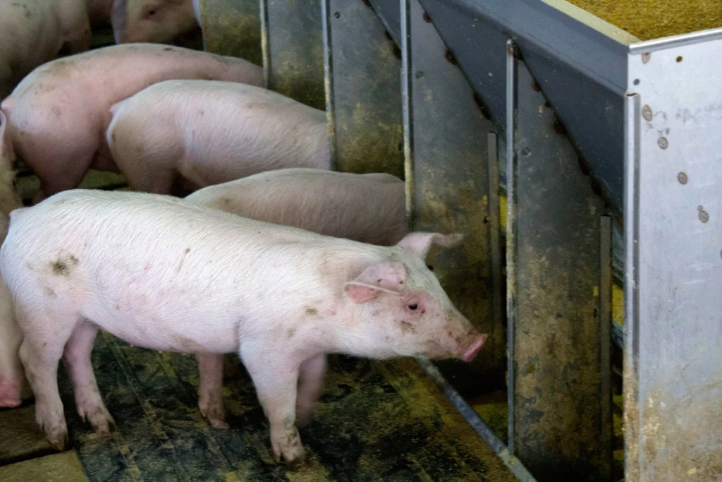 Trump says the US doesn’t need a trade deal with its neighbors. Farm groups push hard for renewal