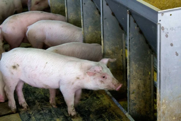 Trump says the US doesn’t need a trade deal with its neighbors. Farm groups push hard for renewal
