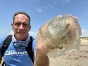 A man on a beach holding up a jellyfish