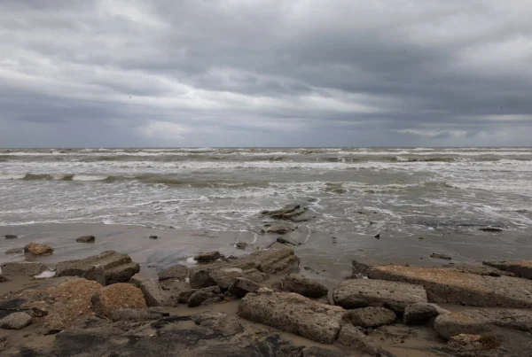 ‘Worth keeping tabs on’: Tropical Storm Bertha in northeastern Gulf could impact Texas