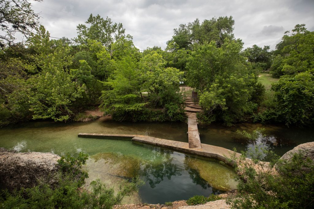 A wide shot photo of a watering hole surrounded by trees.