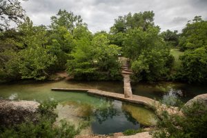 A wide shot photo of a watering hole surrounded by trees.