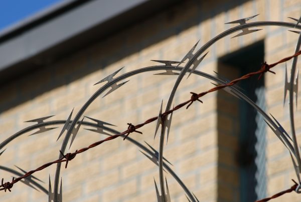 Deaf migrants deported without access to sign language interpreters