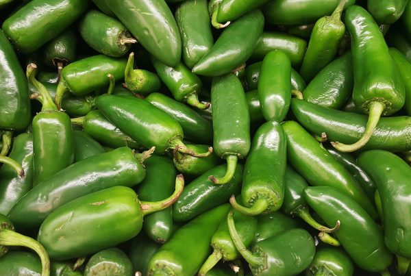 Here’s why it feels like so many foods are being recalled right now