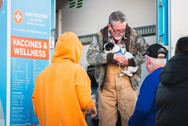 Vet care is getting more expensive. Here’s how to save money and keep pets healthy