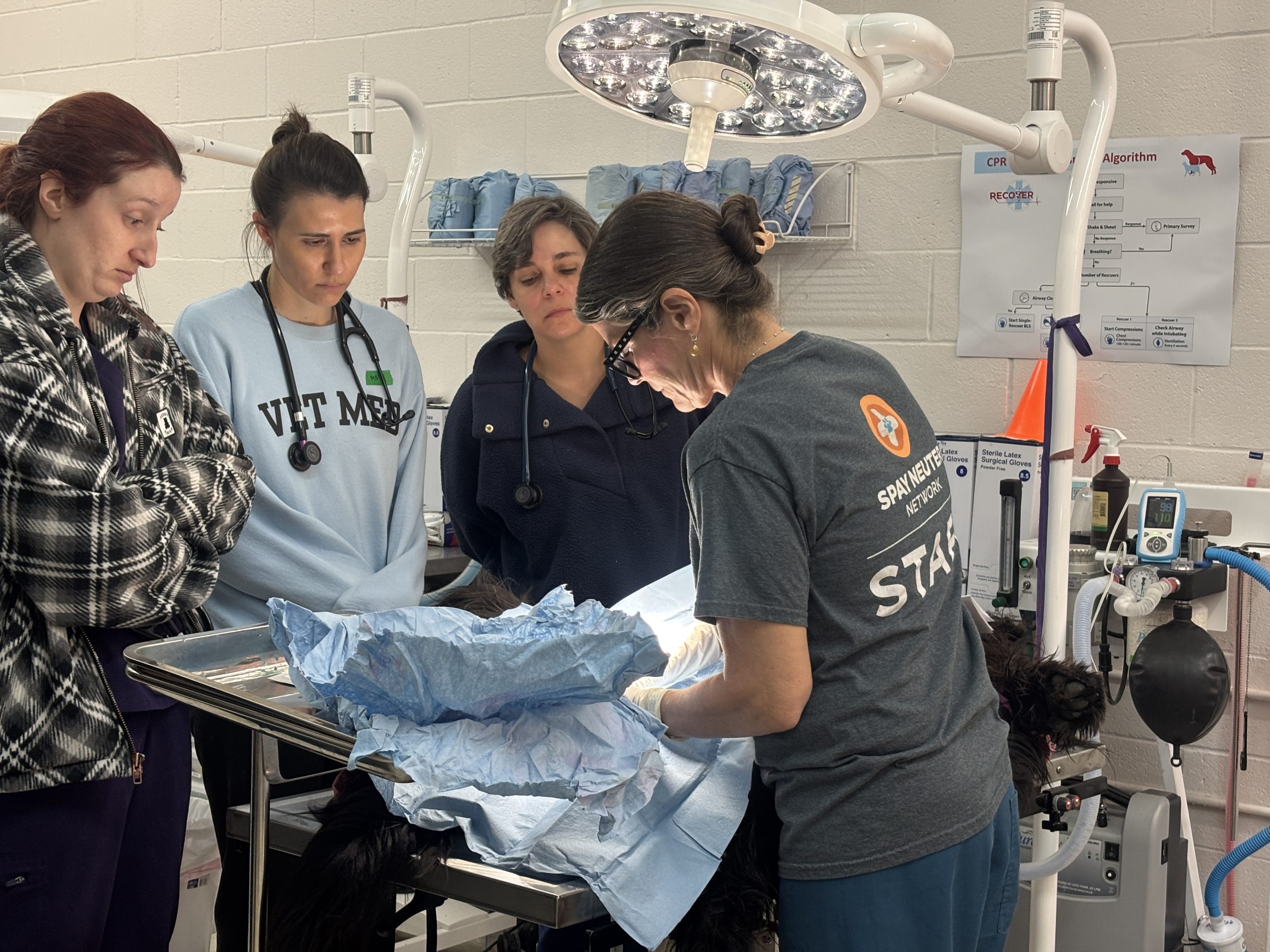 Three young women look on as a veterinarian performs a surgey.