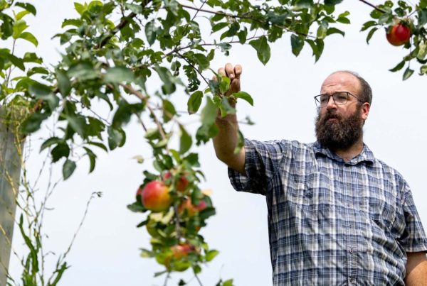 U.S. farmers lost conservation experts in Trump’s federal cuts. Now they’re hurting for help
