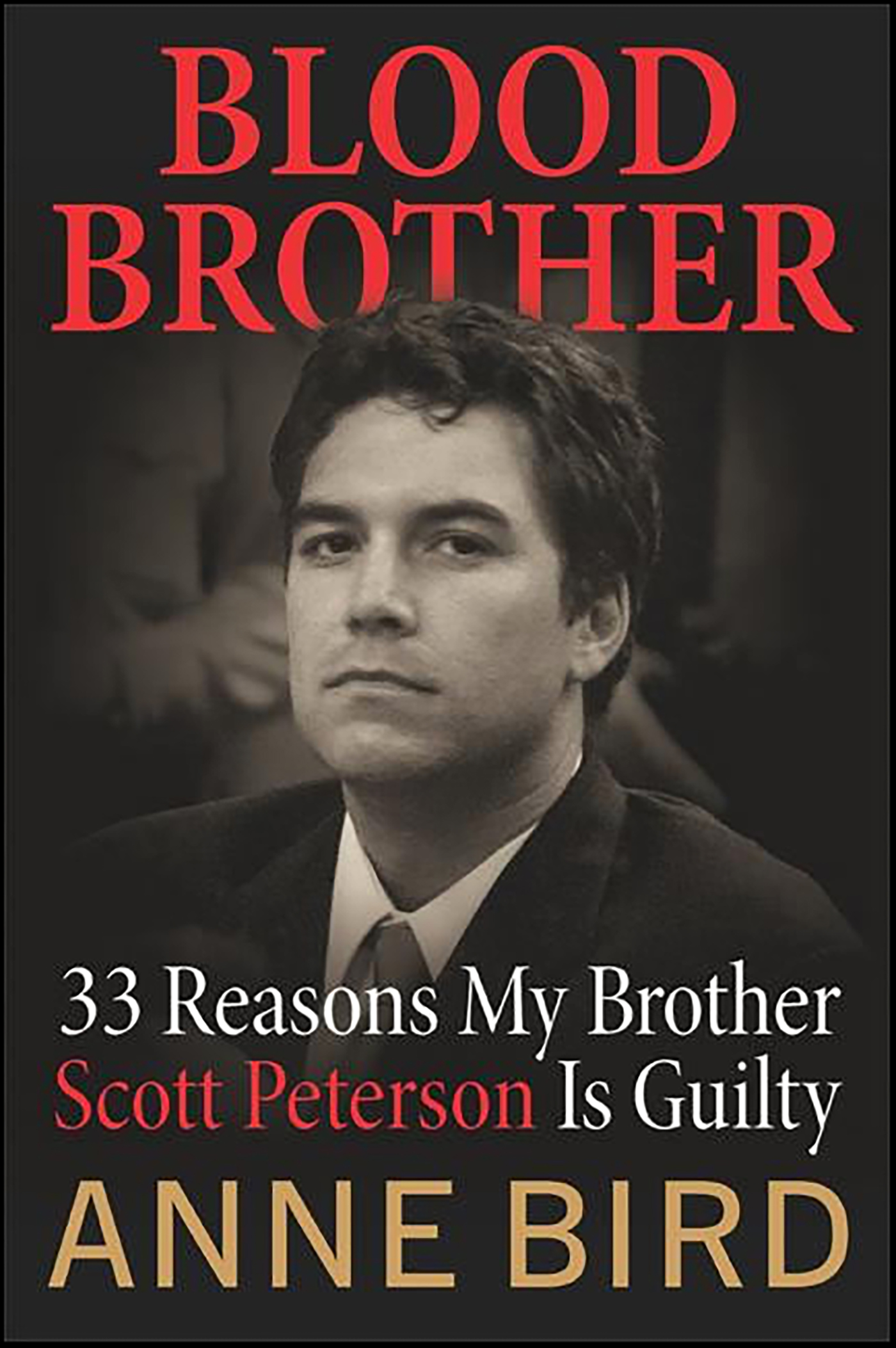 This image is the cover for the book Blood Brother