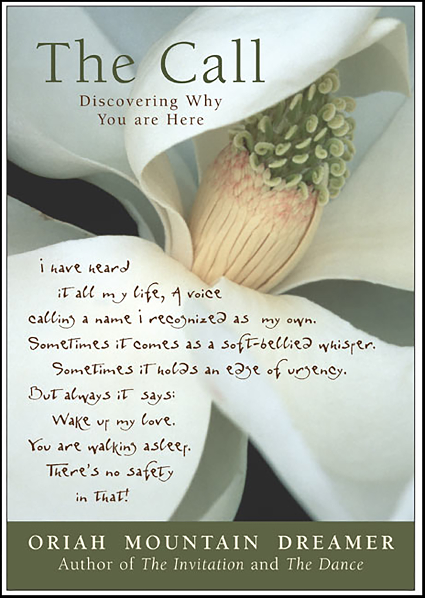 This image is the cover for the book Call