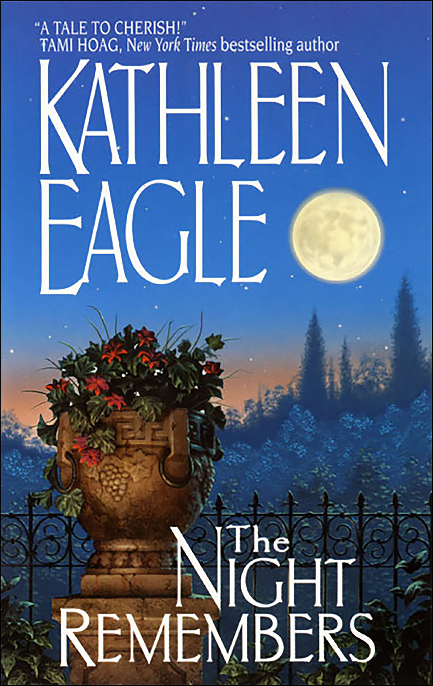 This image is the cover for the book Night Remembers