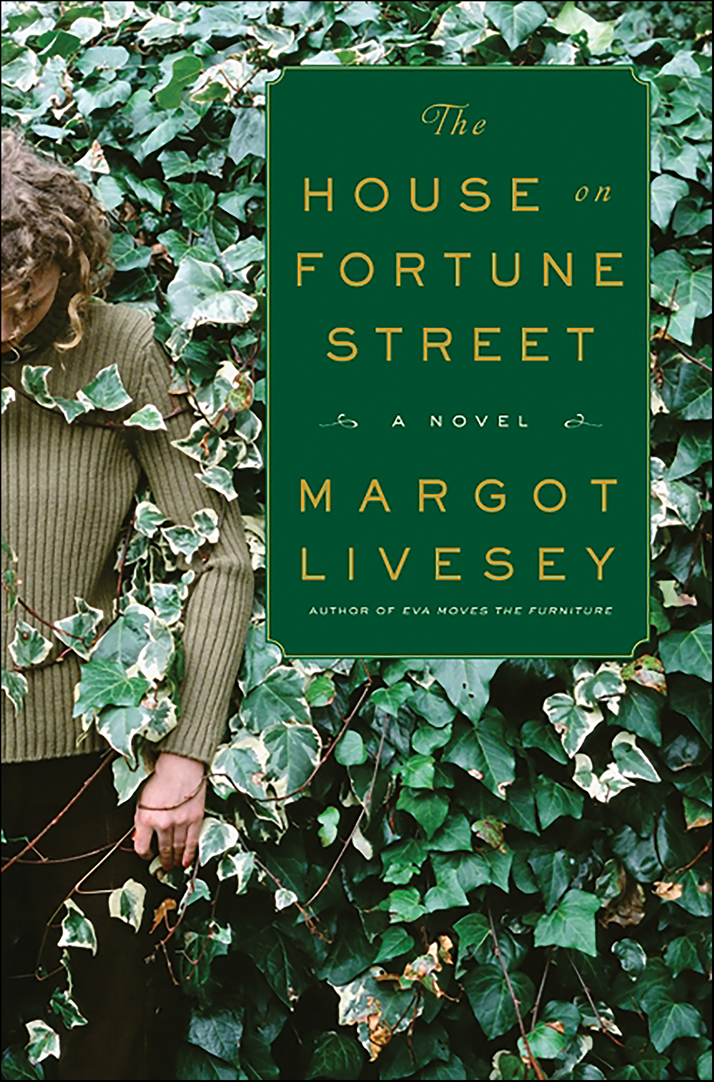 This image is the cover for the book House on Fortune Street