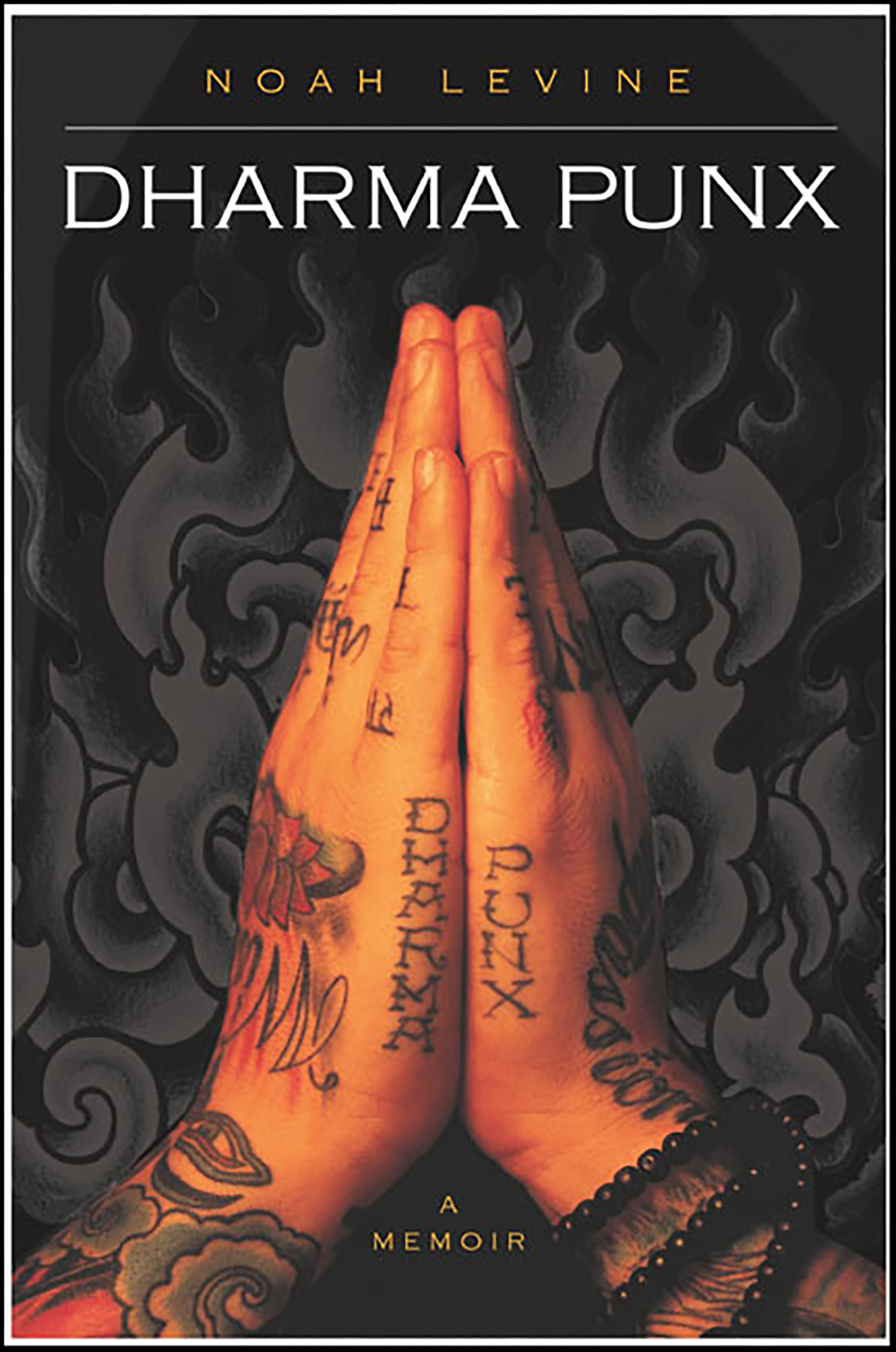 This image is the cover for the book Dharma Punx