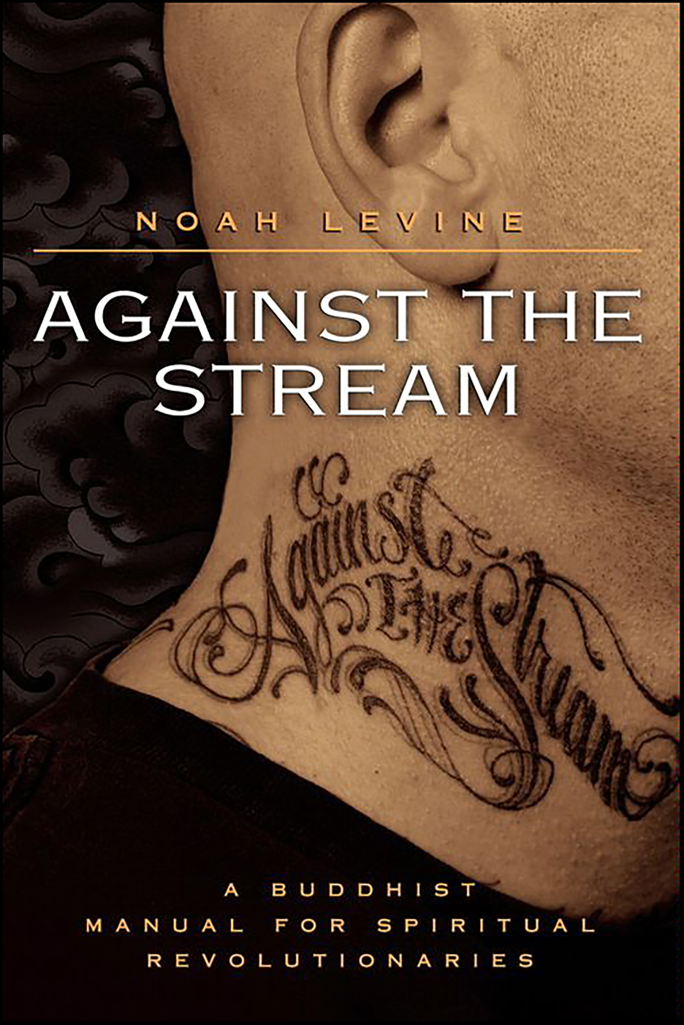 This image is the cover for the book Against the Stream