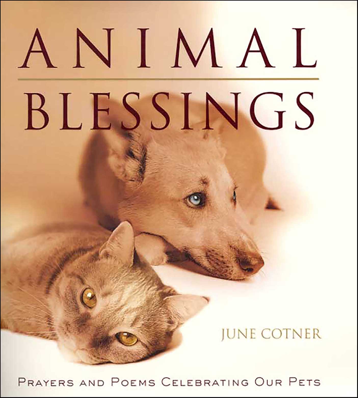 This image is the cover for the book Animal Blessings