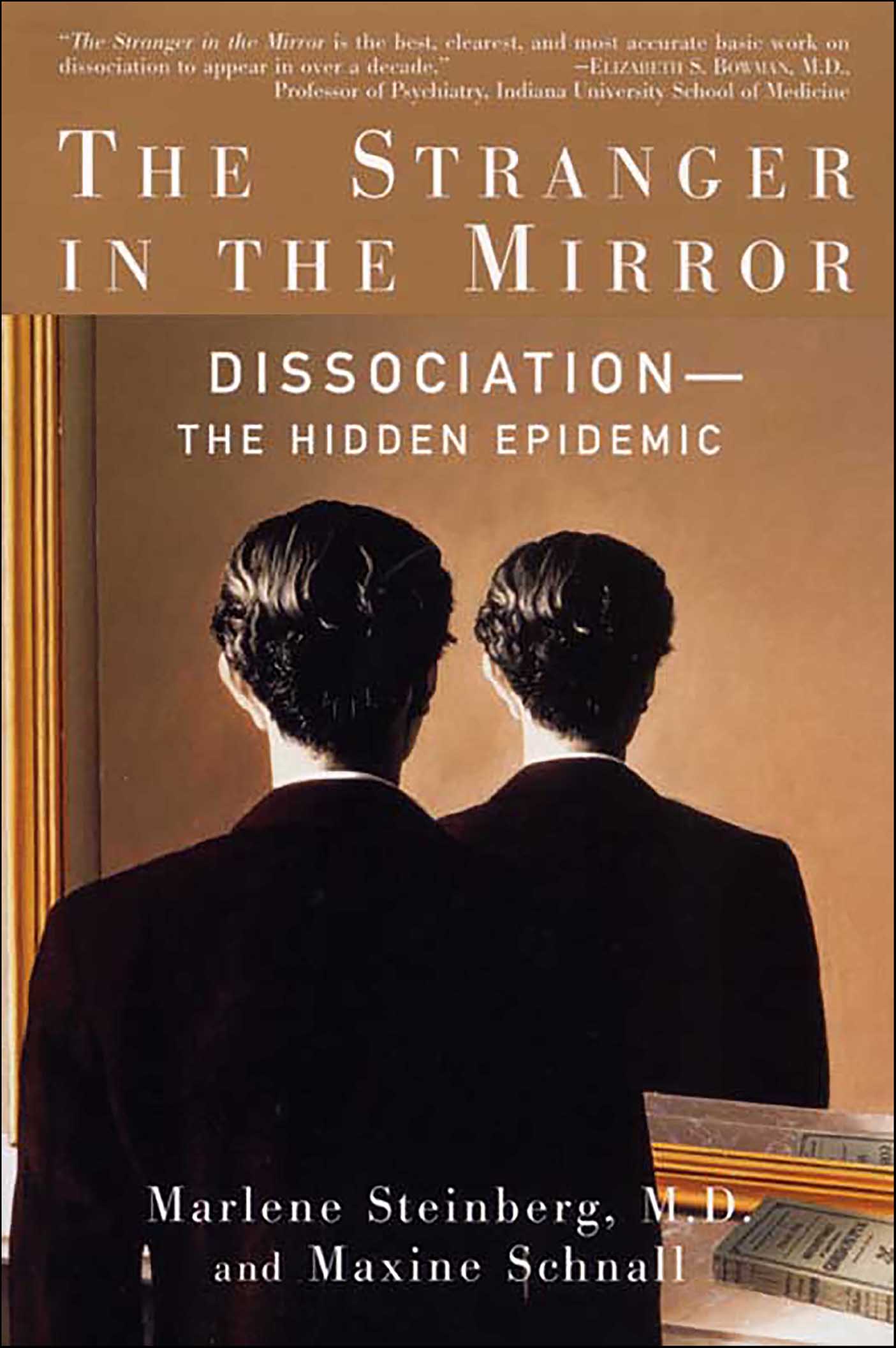 This image is the cover for the book Stranger in the Mirror