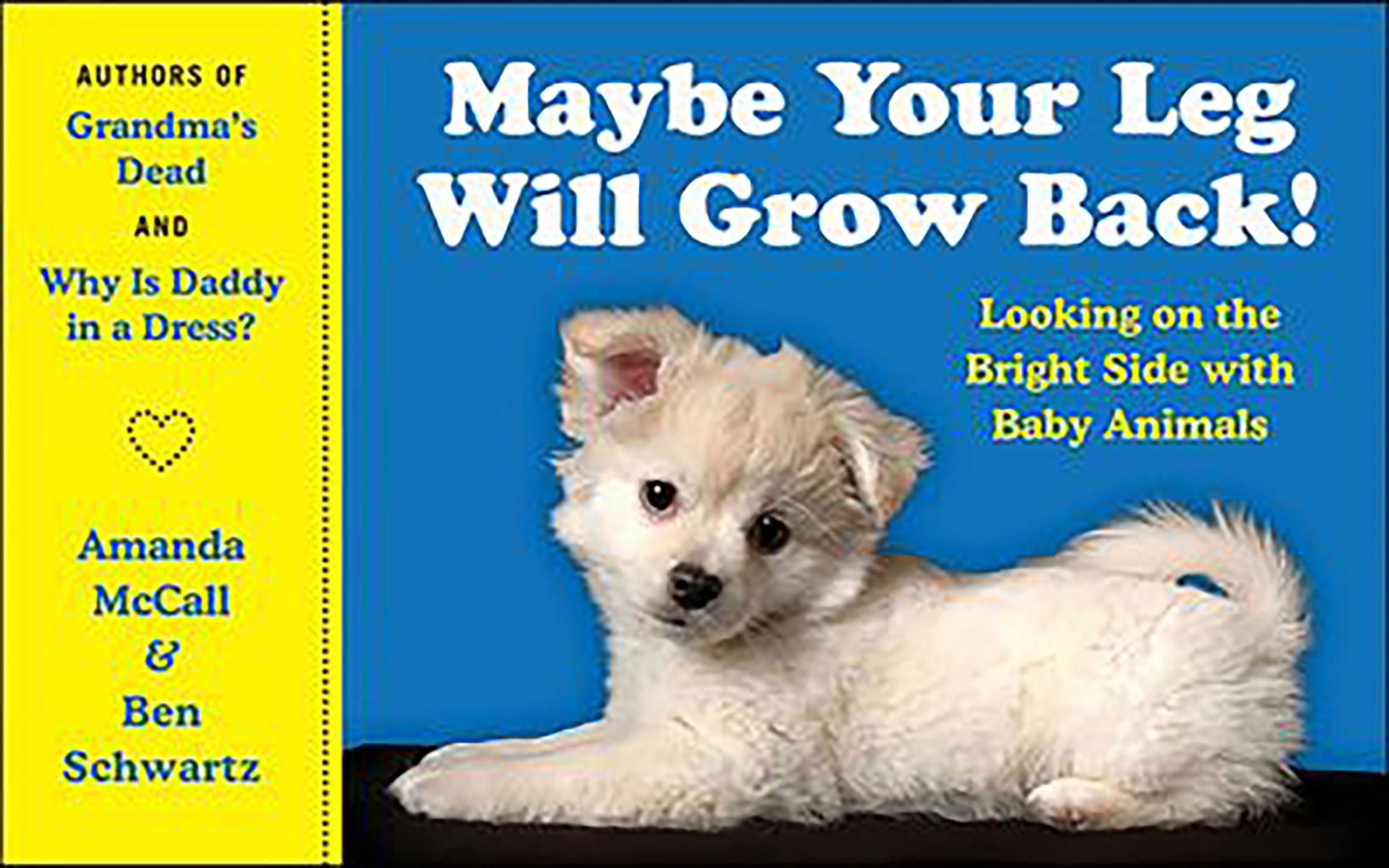 This image is the cover for the book Maybe Your Leg Will Grow Back!