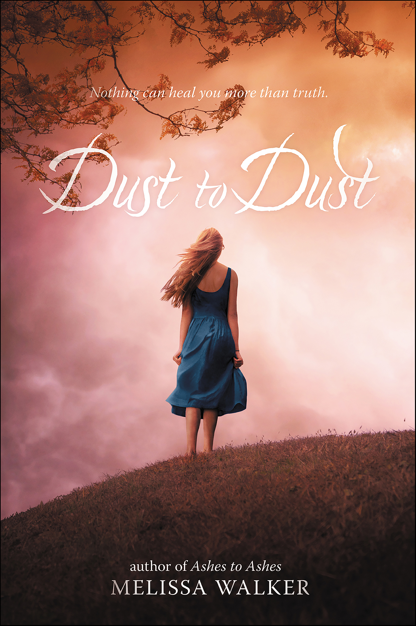 This image is the cover for the book Dust to Dust