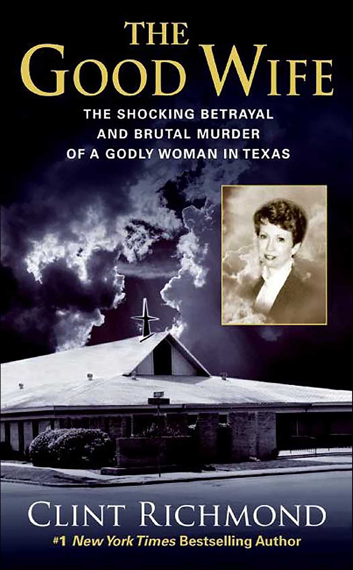 This image is the cover for the book Good Wife