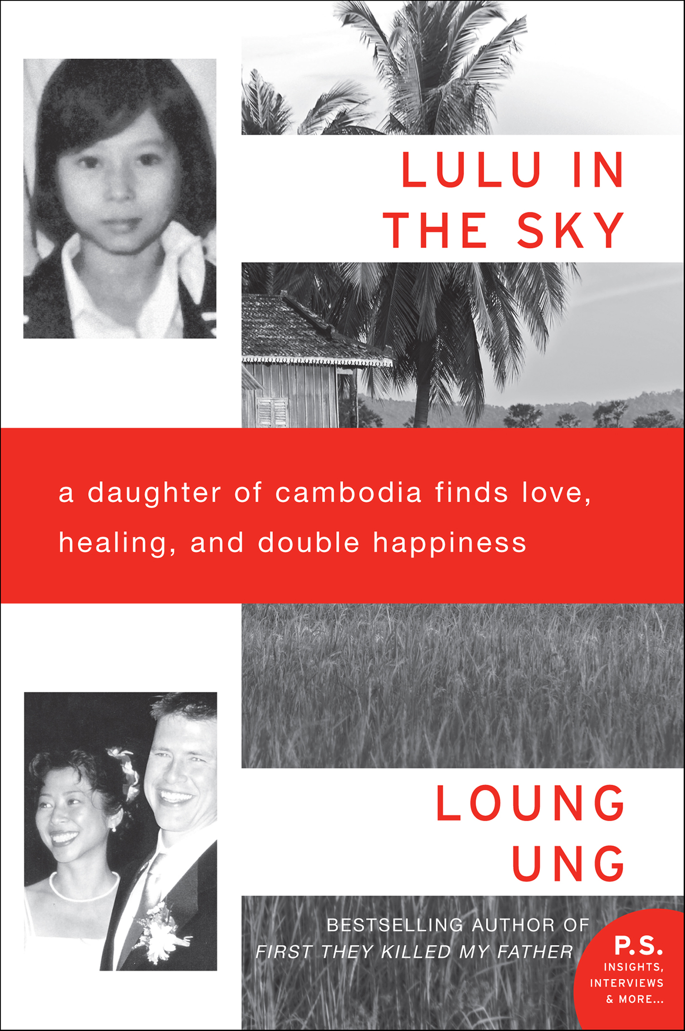 This image is the cover for the book Lulu in the Sky