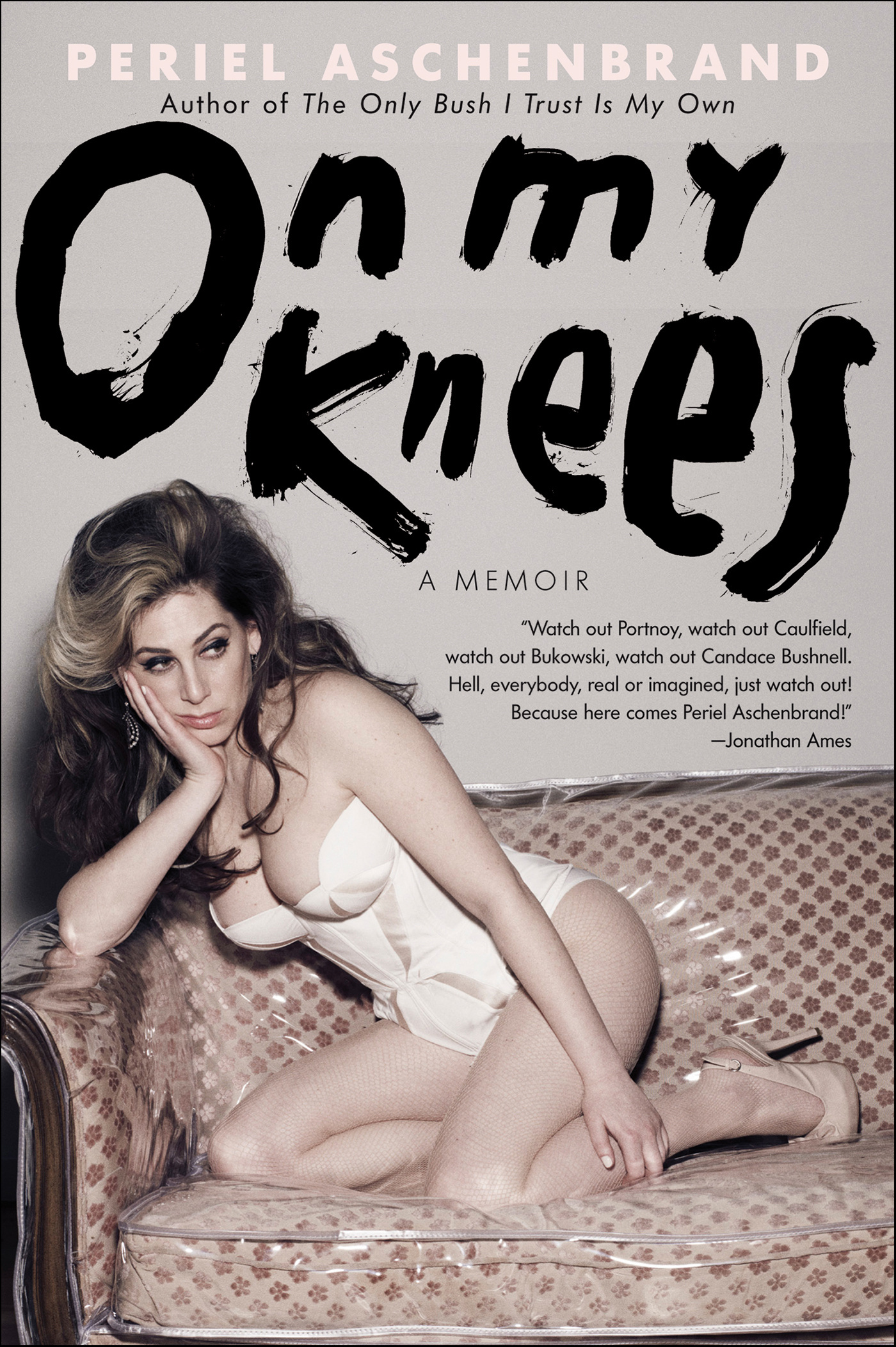 This image is the cover for the book On My Knees