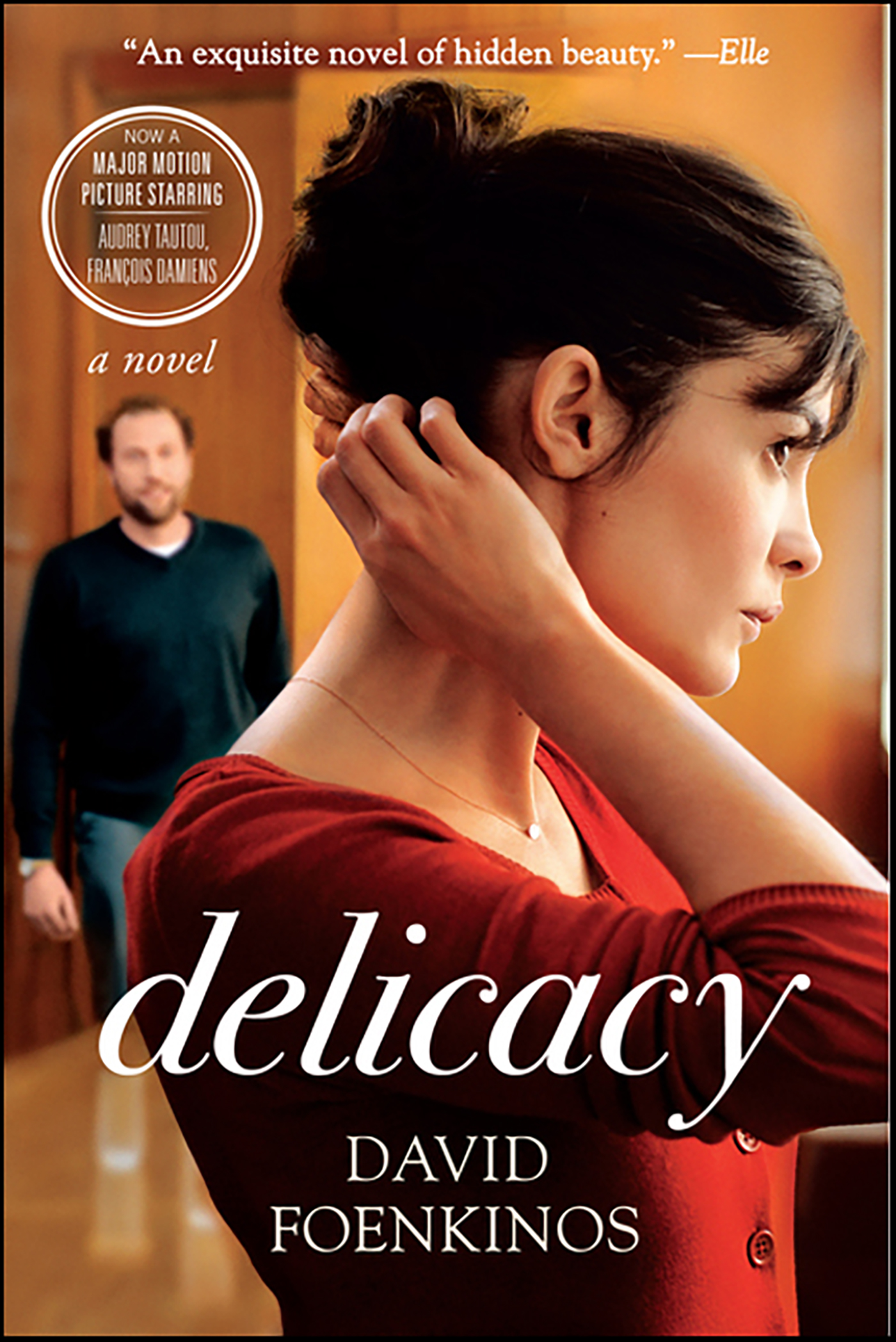 This image is the cover for the book Delicacy