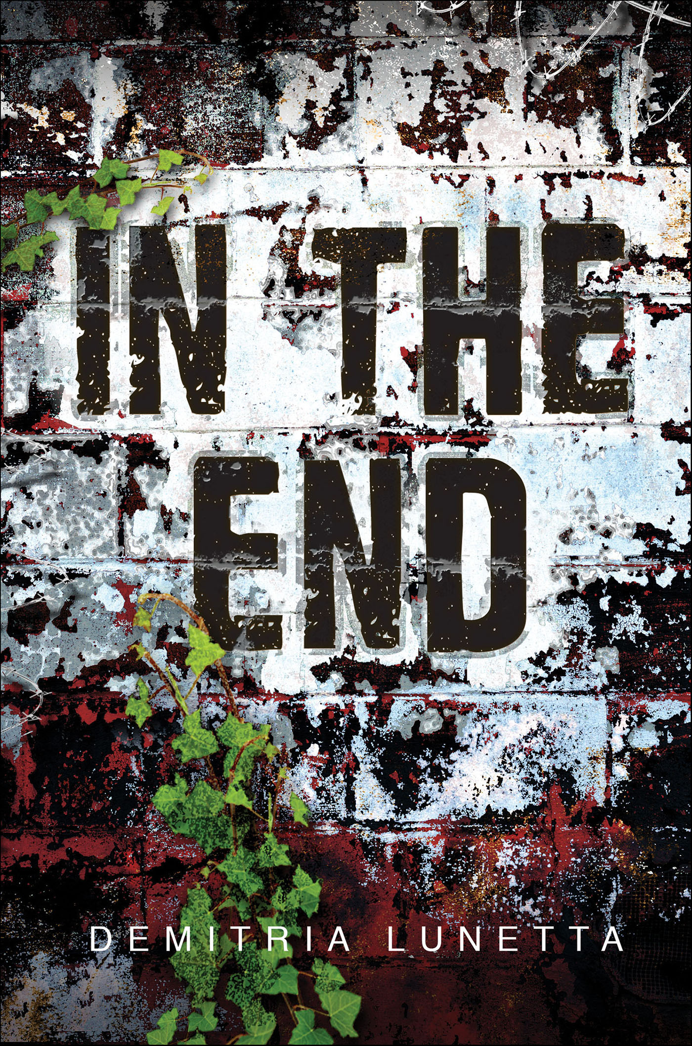 This image is the cover for the book In the End, In the After