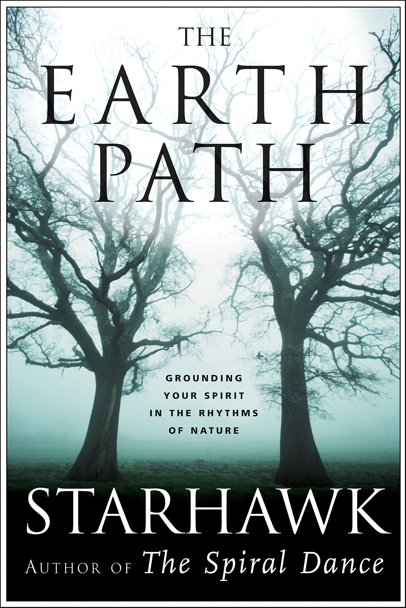 This image is the cover for the book Earth Path