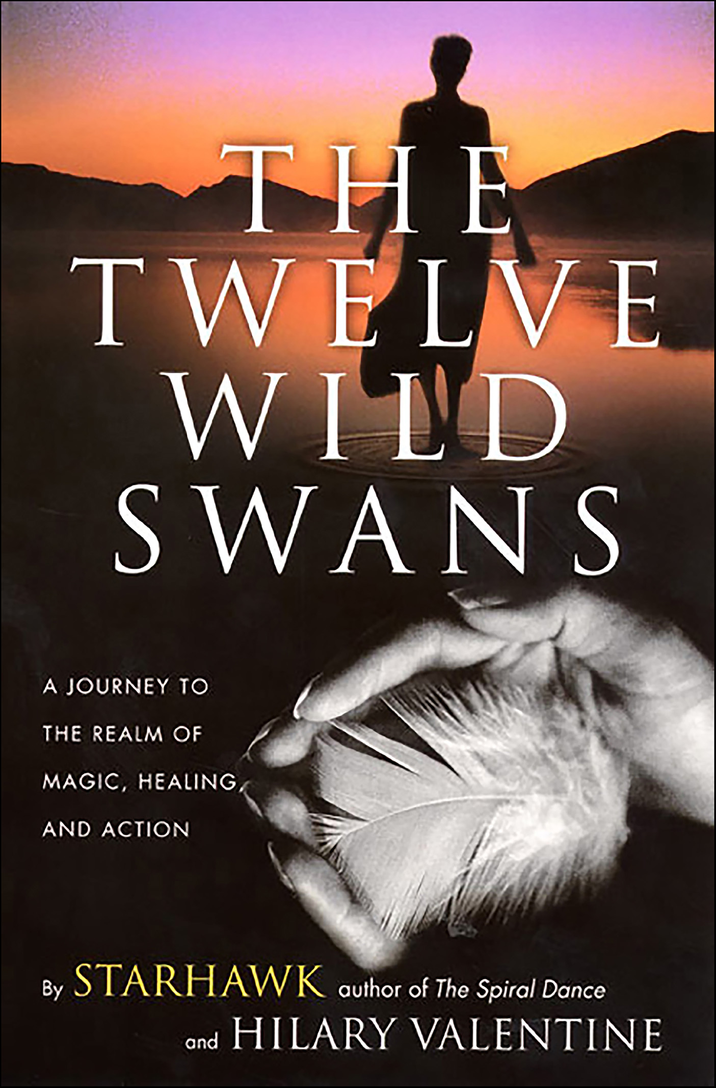 This image is the cover for the book Twelve Wild Swans