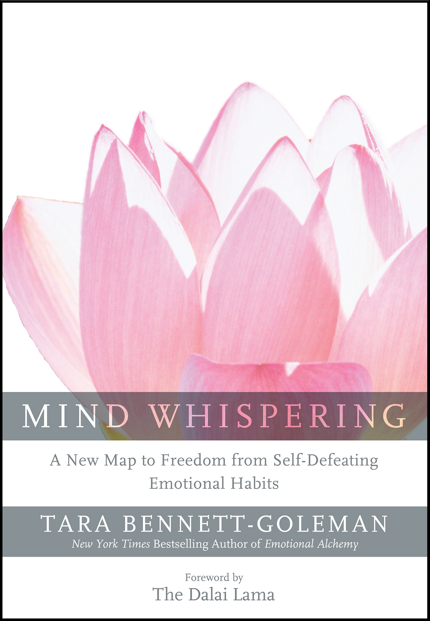 This image is the cover for the book Mind Whispering