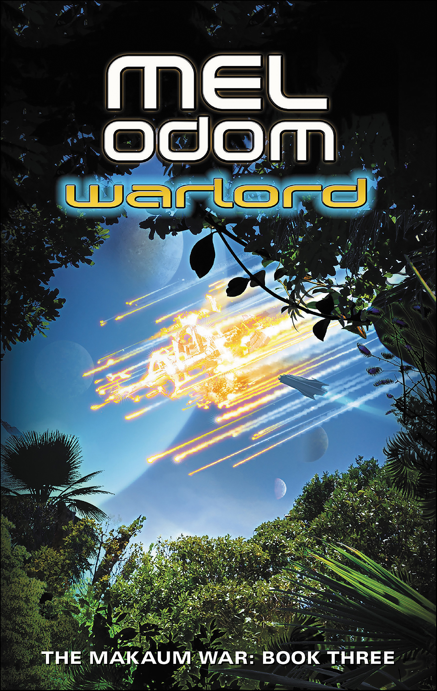 This image is the cover for the book Warlord, The Makaum War