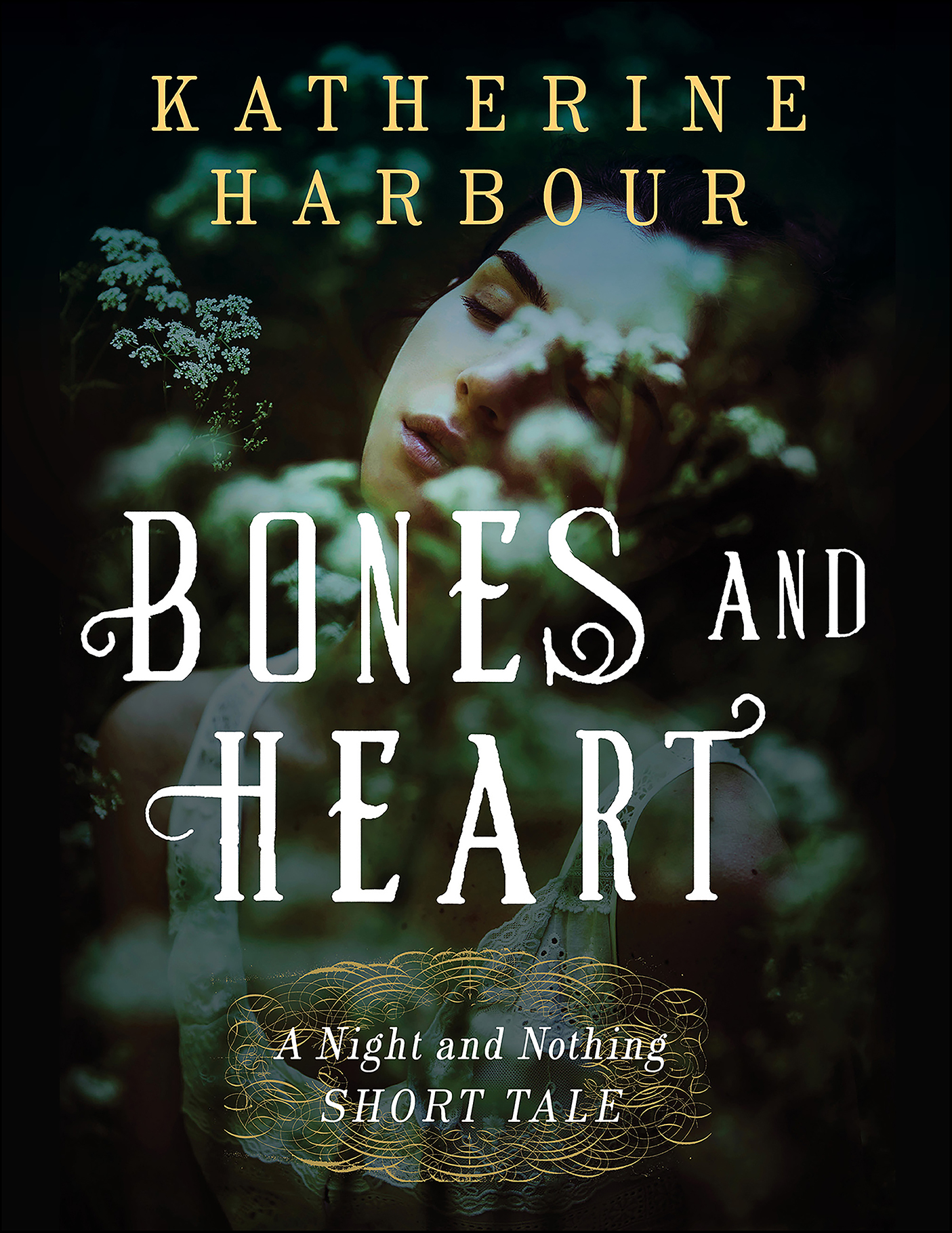 This image is the cover for the book Bones and Heart, Night and Nothing Novels