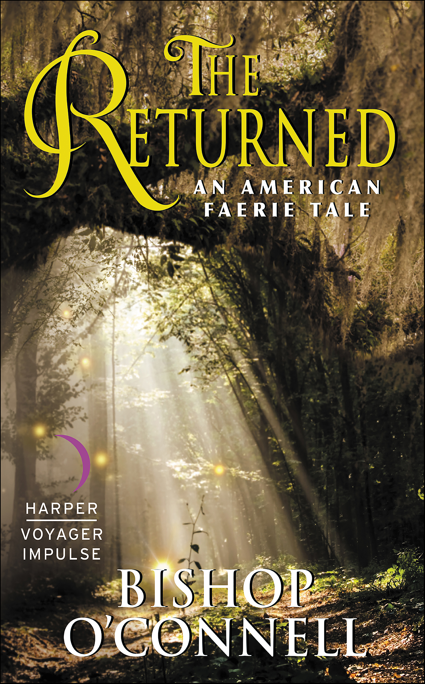 This image is the cover for the book Returned