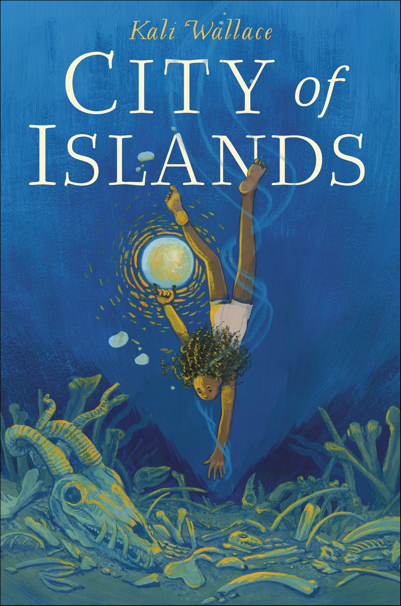 This image is the cover for the book City of Islands
