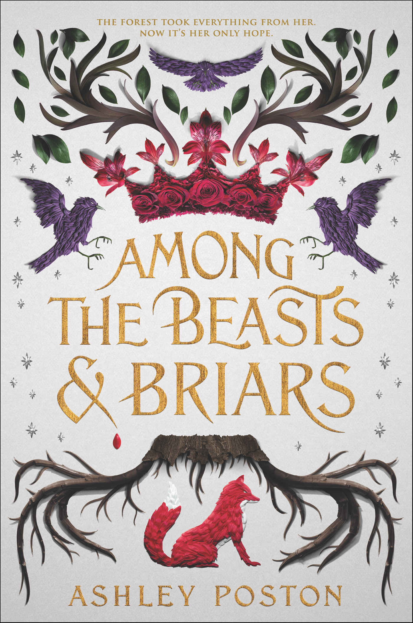 This image is the cover for the book Among the Beasts & Briars
