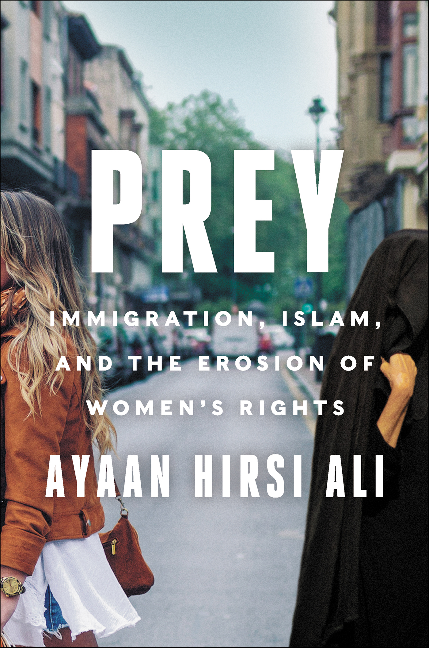 This image is the cover for the book Prey