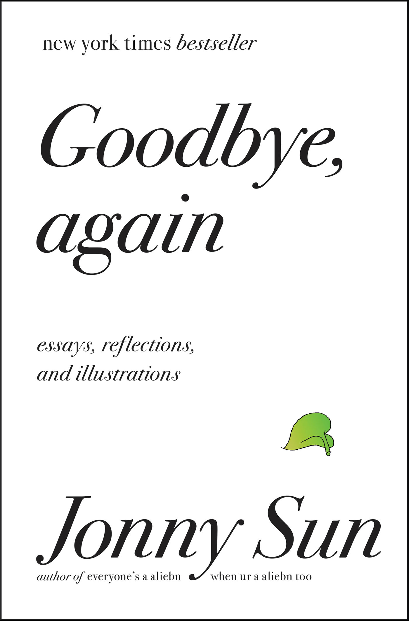 This image is the cover for the book Goodbye, Again