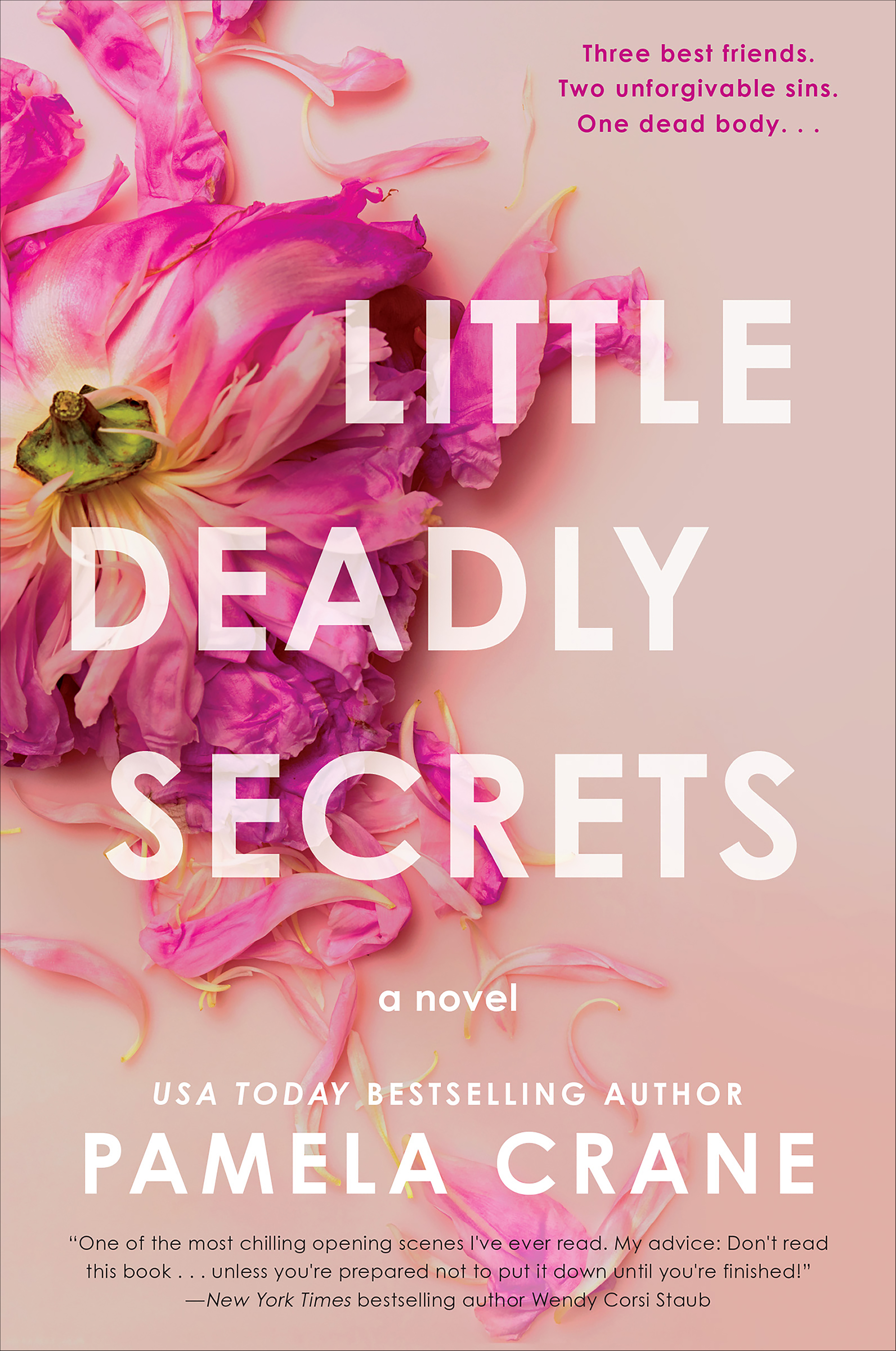 This image is the cover for the book Little Deadly Secrets